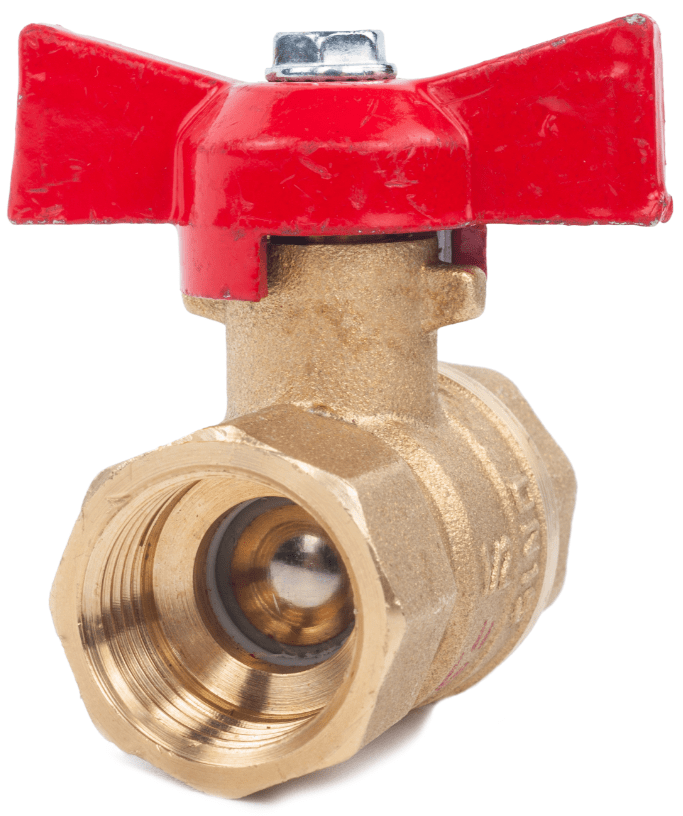 Domestic Water Heater Explained saVRee